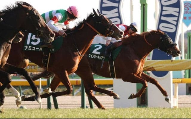 【東京新聞杯】ウインカーネリアンが重賞2勝目