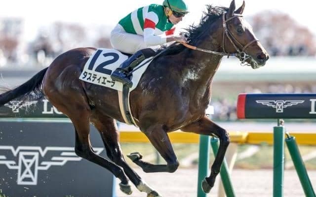 【共同通信杯前日オッズ】タスティエーラが3.7倍で1番人気