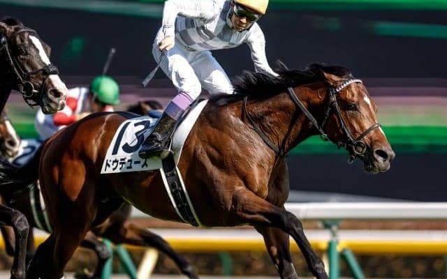 【京都記念前日オッズ】ドウデュースが2.4倍で1番人気