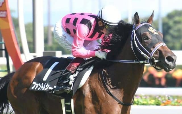 【共同通信杯予想】3連勝中の大型馬に注目！ 穴を狙うなら関西馬の一発に警戒