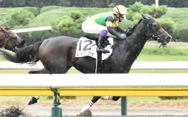 【日曜東京12R】叩き2戦目のレイニーデイが粘り込む