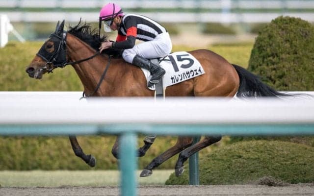 【新馬/阪神4R】ディープブリランテ産駒 カレンハサウェイがデビューV