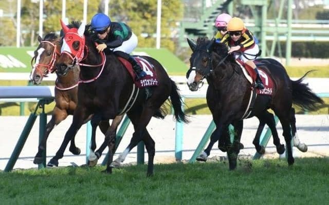 京都記念で復活、夢は世界へ ラヴズオンリーユーの活躍を振り返る