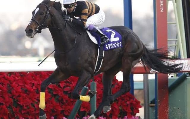 土曜はキタサンブラック産駒が絶好調！ わずか6頭で3勝あげる