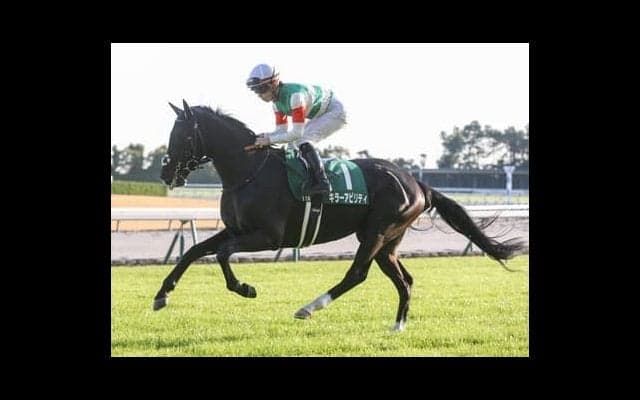 京都記念は人気のダービー馬と同世代の伏兵２頭に注意。阪神・芝2200ｍというタフな舞台で逆転を狙う