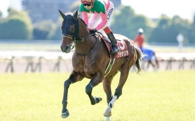 【京都記念予想】実績馬と上がり馬の対決模様 昨年同様に波乱決着となるか