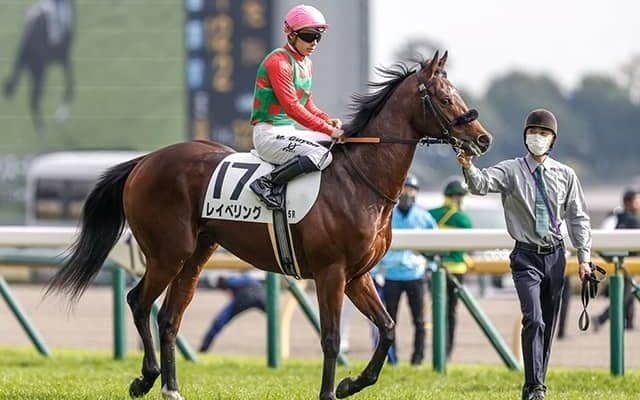 【共同通信杯予想】経験薄でも好走できる前走条件＆死に目の枠番に入った馬はどれだ？