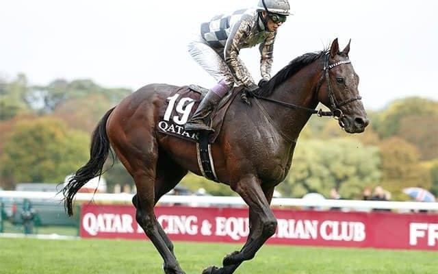 【京都記念・馬体重】ドウデュースは508kg、エフフォーリアは524kg(-8)