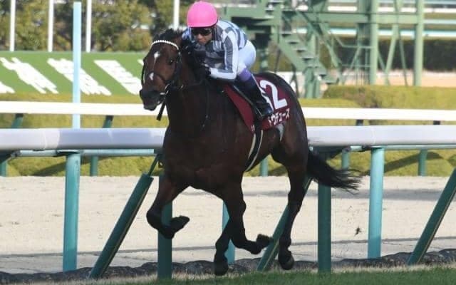 【京都記念結果】昨年のダービー馬ドウデュースが帰国初戦を圧勝