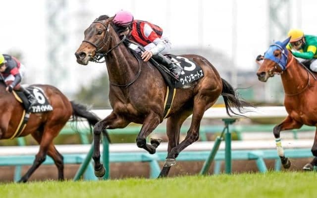 【ダイヤモンドS】ウインキートス、ミクソロジーらが登録