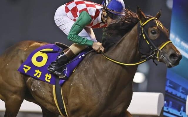 【浦和・ユングフラウ賞枠順】南関東牝馬クラシックへの直行切符 ローレル賞覇者マカゼは1枠1番