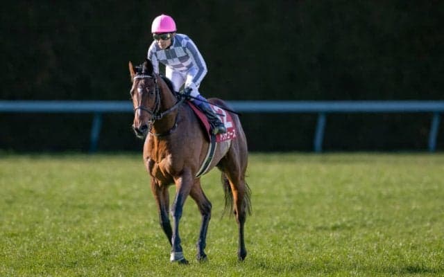 【京都記念】友道師「在厩でこのままドバイへ」ドウデュース快勝でいざドバイへ