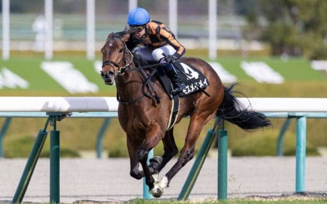 【こぶし賞】武豊騎乗 モズメイメイが人気に応える