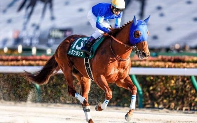 今年最初のJRA・GIフェブラリーS/今週の競馬界の見どころ