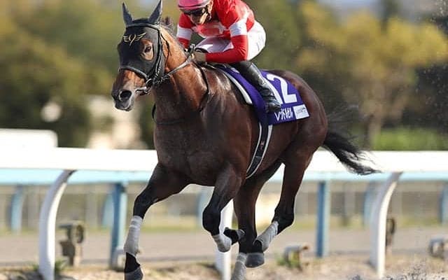 【AI予想・フェブラリーS】3度目の正直なるか!? 人気のレモンポップを上回る期待の穴馬とは