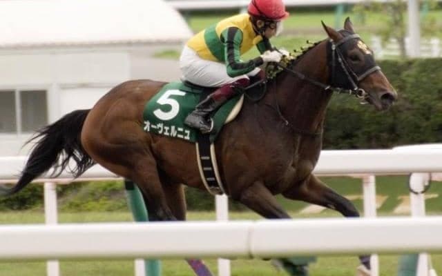 【フェブラリーS】共同通信杯Vの西村厩舎 福永騎手＆オーヴェルニュでGI初制覇へ