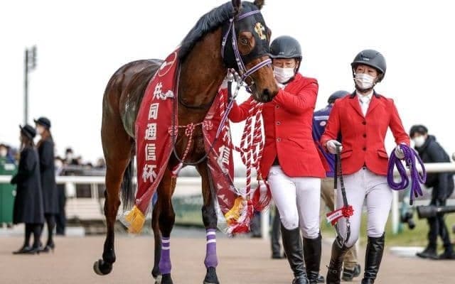 今年の共同通信杯を制したハービンジャー産駒は凄まじい同血クロスの配合馬