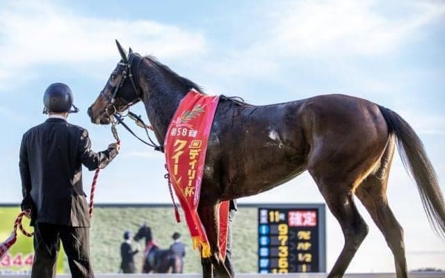 「ハーツクライ×シアトルスルー」は多くの重賞勝ち馬が出ている成功パターン