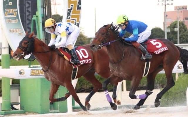 兄に続くGI制覇へ ビッグアーサー弟が番狂わせを狙う