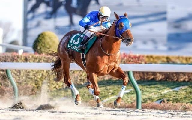 【フェブラリーS予想オッズ】レモンポップが予想1番人気