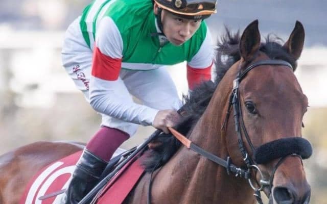 エフフォーリアが種付けシーズン中のスタッドイン 過去に同じ道たどった名馬は？
