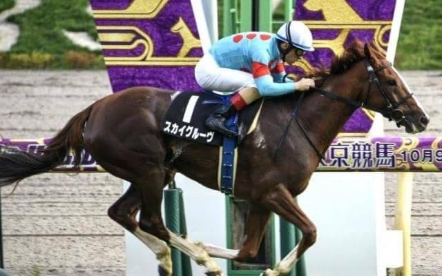 一族にはGI馬ズラリ 引退期限間近の良血馬が重賞初Vラストチャンス