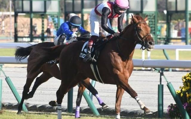 【ダイヤモンドS予想オッズ】ミクソロジーが予想1番人気