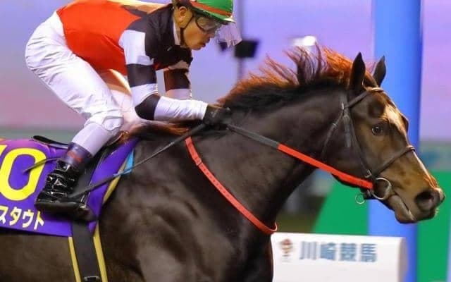 21年の2歳ダート王者 フェブラリーS最大の敵はスタート直後の芝!?