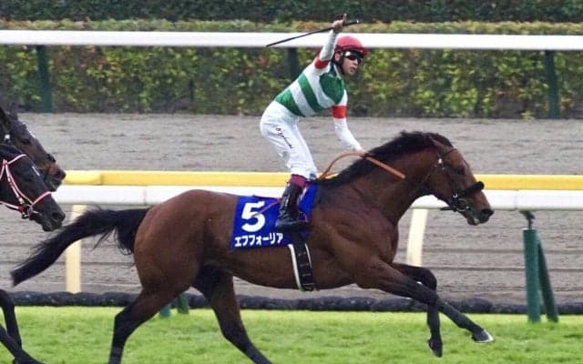 エフフォーリアが引退…種牡馬入り
