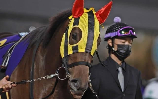 【浦和・ユングフラウ賞注目馬】南関東牝馬クラシック前哨戦 安定感見せるサーフズアップに期待