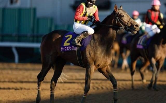 【浦和・ユングフラウ賞結果】サーフズアップが追い込みを決めて重賞初V 浦和桜花賞の切符獲得