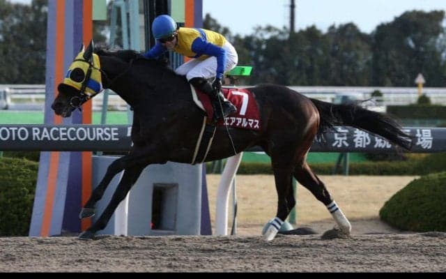 エアアルマスが競走馬登録抹消