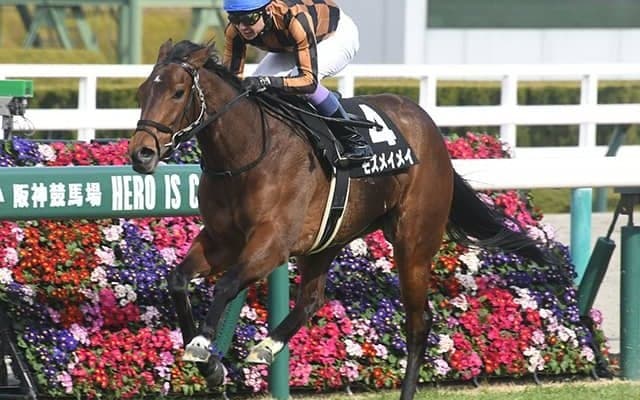 【POG】こぶし賞Vのモズメイメイ 武豊騎手とのコンビ継続でチューリップ賞へ