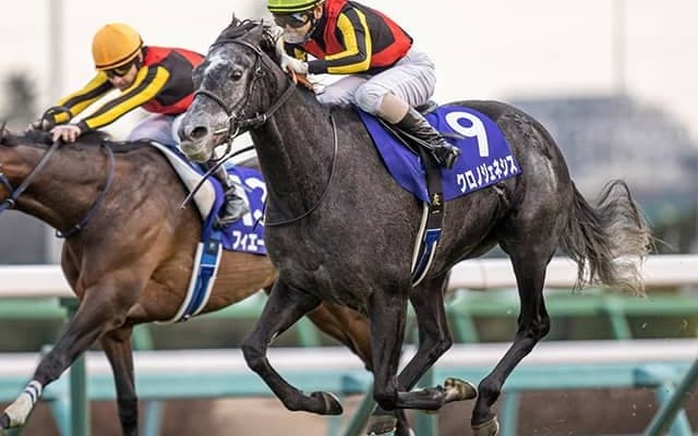クロノジェネシスが初仔の牡馬出産 父はエピファネイア