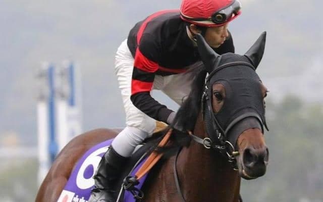 “隠れ小倉大賞典男”丸田騎手 ホウオウエミーズで一発狙う！