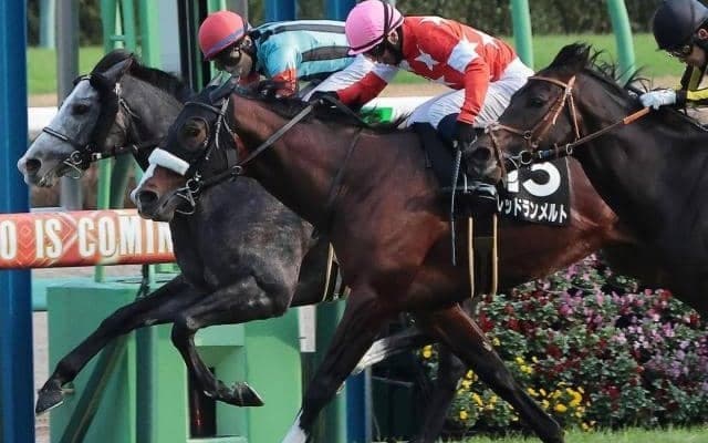 小倉大賞典はディープ産駒に要注目！ レッドランメルトで4勝目なるか