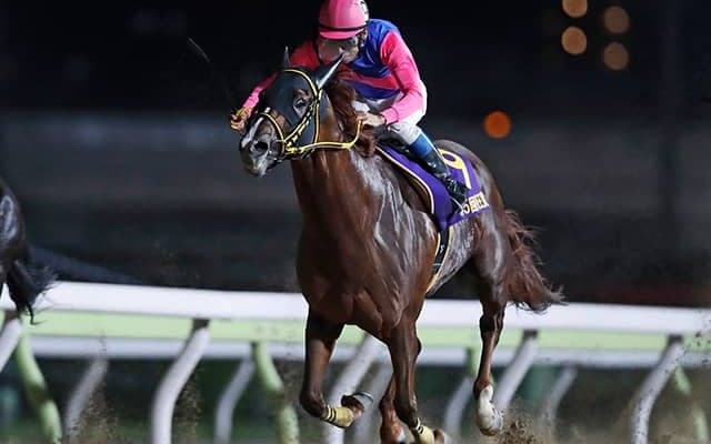 中央GI初Vを狙う帝王賞覇者 「メイショウ」18年ぶりの勝利に導けるか