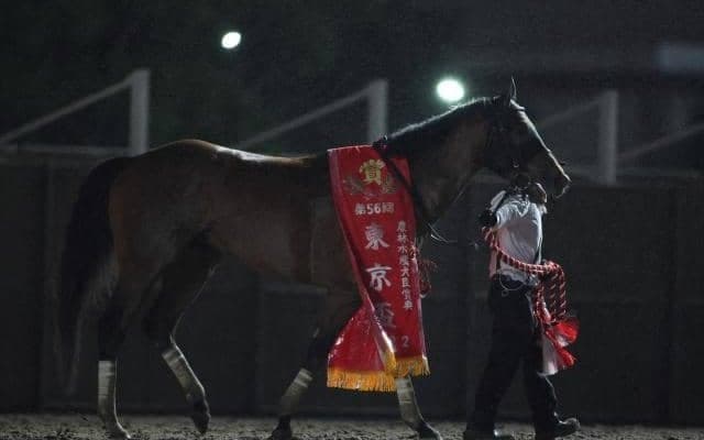 【フェブラリーS予想】コース適性もありメンバー構成にも恵まれたAIの注目馬とは？