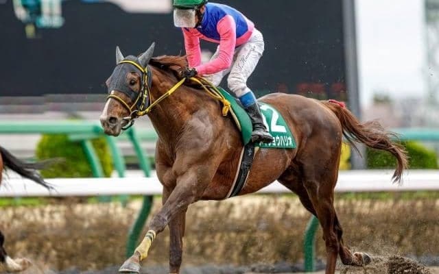 【フェブラリーS展望】今年最初のGI、巻き返しがあるとすれば距離短縮組