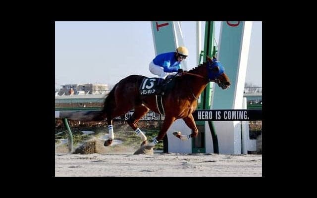 フェブラリーＳの本命、レモンポップの信頼度を血統でチェック。対抗も同じミスプロ系から JRA初出走馬の大駆けに期待