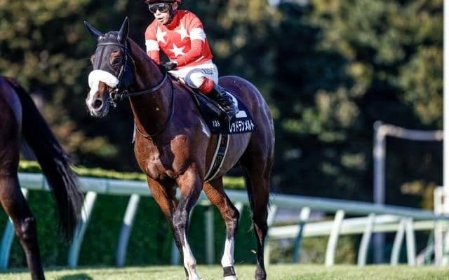 【小倉大賞典展望】波乱傾向のハンデ戦、逃げ先行馬に妙味