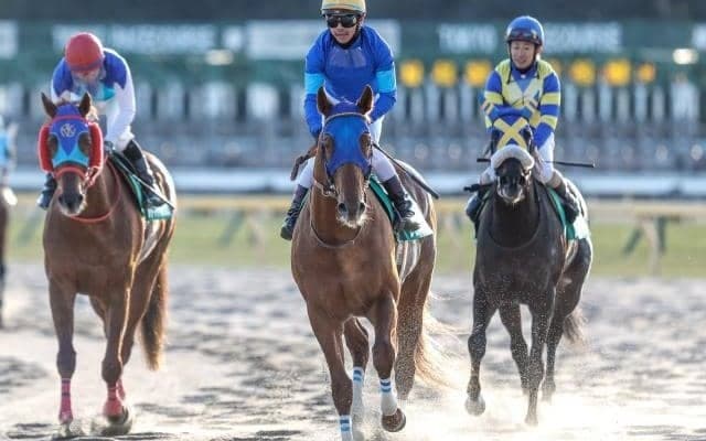 【フェブラリーS出走馬・騎手確定】レモンポップ＆坂井瑠星騎手、ドライスタウト＆戸崎圭太騎手など16頭