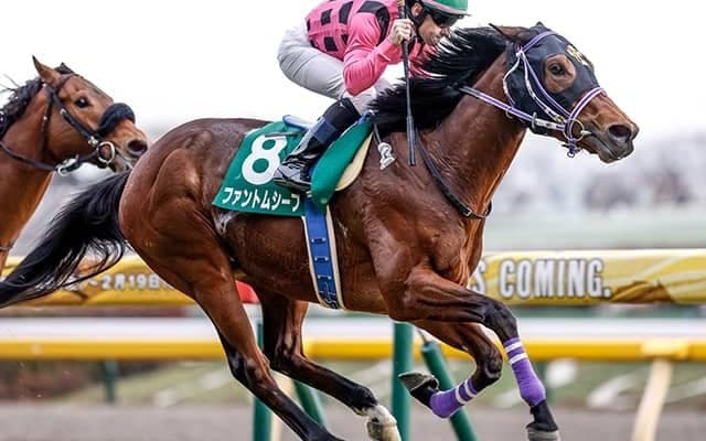 共同通信杯覇者のファントムシーフが皐月賞へ直行