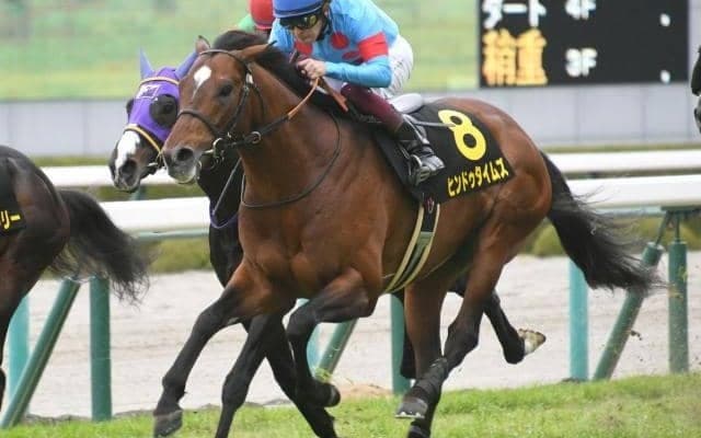 【小倉大賞典出走馬・騎手確定】ヒンドゥタイムズ＆ムルザバエフ騎手、レッドランメルト＆吉田隼人騎手など16頭