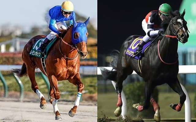 【フェブラリーS予想】2強に追い風データも意外な激走候補が浮上 注目すべきは“馬体重”