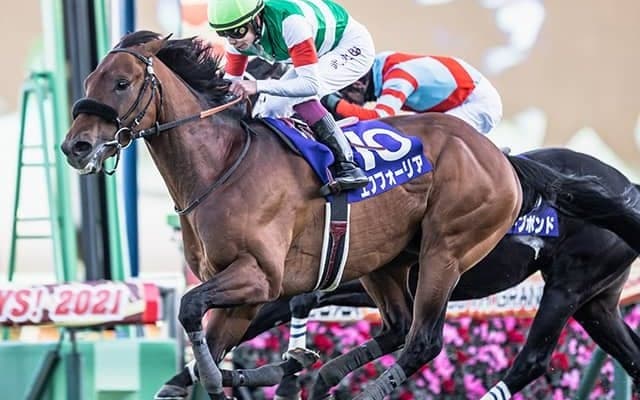 21年の年度代表馬エフフォーリアが登録抹消 今後は社台SSで種牡馬入り