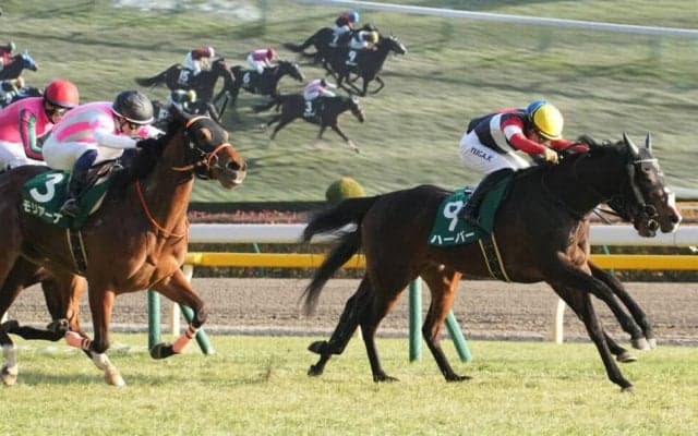 【クイーンC】川田将雅騎乗 ハーパーがゴール前の激戦を制する