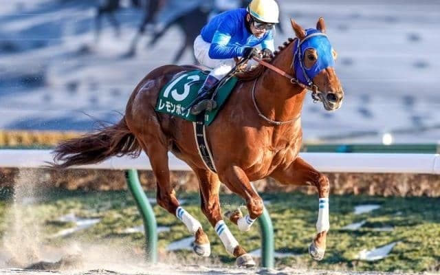 【フェブラリーS 調教後馬体重】レモンポップは529kg、テイエムサウスダンは548kg