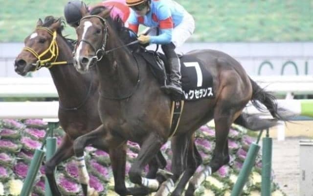 ダイヤモンドSにディープインパクト産駒4頭出し 達成狙う“父SS超え”の快挙とは？