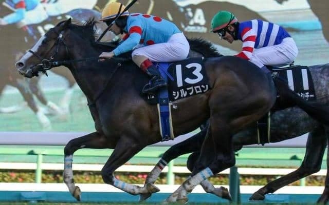 トーセンジョーダン産駒初重賞制覇へ 2連勝中の長距離砲がダイヤモンドSに登場